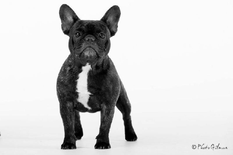 Cerera Elle Belle Top Model!